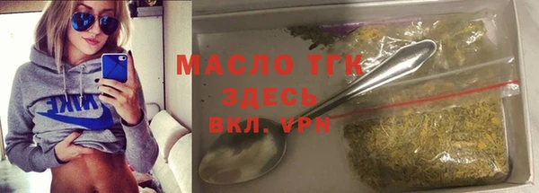 молекула духа Бородино