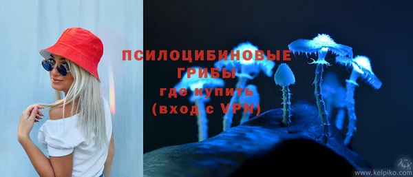PSILOCYBIN Бугульма