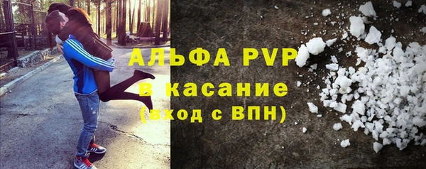 молекула духа Бородино