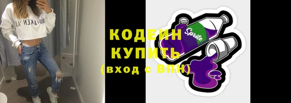 молекула духа Бородино