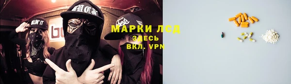 PSILOCYBIN Бугульма