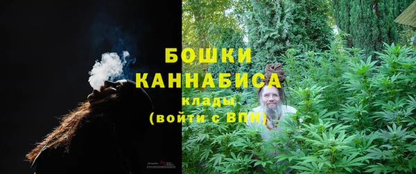 молекула духа Бородино