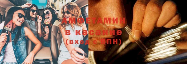 молекула духа Бородино
